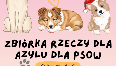 Treśc plakatu: ZBIÓRKA RZECZY DLA AZYLU DLA PSÓW Co jest potrzebne? karma mokra, najlepiej Dolina Noteci, Rafi karma sucha Britt koce, podkłady higieniczne makaron dla psów szelki typu guard rozmiar L/XL smycze przepinane Zbiórka będzie trwała w dniach 68-12.12.2025r.