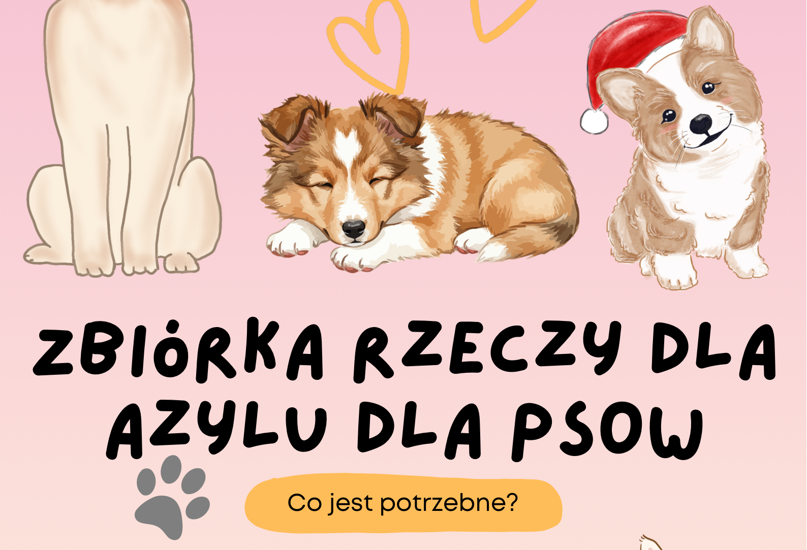 Pomagamy podopiecznym azylu